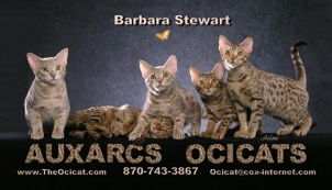 See Barb Stewart's website