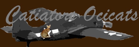 Our Catiators Ocicat logo a F-4 Wildcat and Auxarcs Pralines and Creme