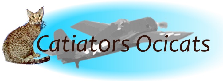 Our Catiators Ocicat logo a F-4 Wildcat and Auxarcs Pralines and Creme