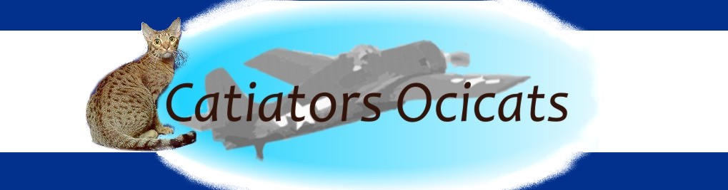 Our Catiators Ocicat logo a F-4 Wildcat and Auxarcs Pralines and Creme