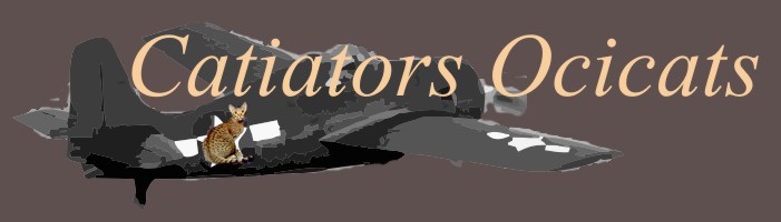 Our Catiators Ocicat logo a F-4 Wildcat and Auxarcs Pralines and Creme